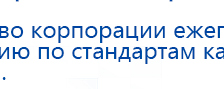 Электроды Скэнар -  двойной овал 55х90 мм купить в Чистополе, Электроды Скэнар купить в Чистополе, Дэнас официальный сайт denasdoctor.ru